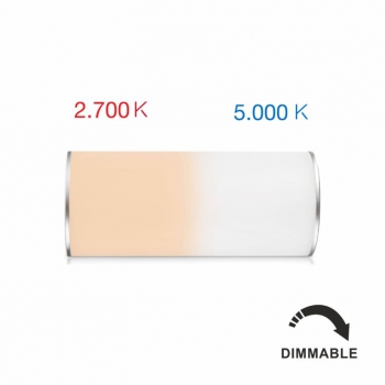 CONVERSE LIGHTING 2,5W Akkuleuchte Touch dimmbar mit Farbwechsel ( warmton | weiß ) 2,5W 360°